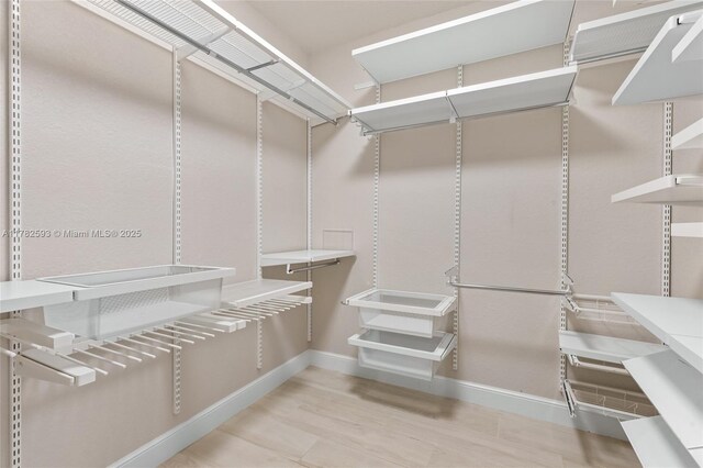 10972 Pine Lodge Trl, Davie, FL 33328 - view of walk in closet
