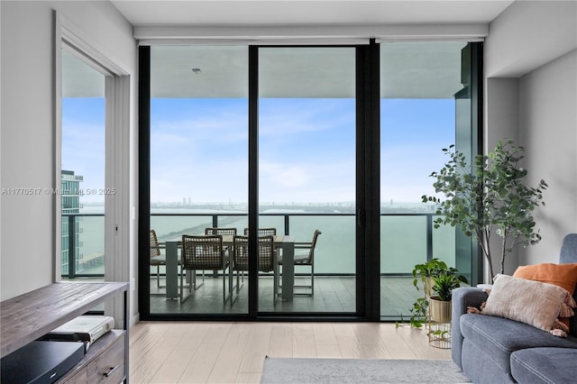 interior space featuring expansive windows and wood finished floors