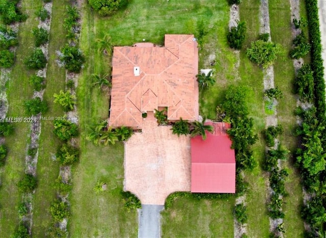 bird's eye view