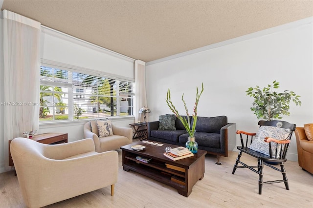 living room with light wood-type flooring and a textured ceiling