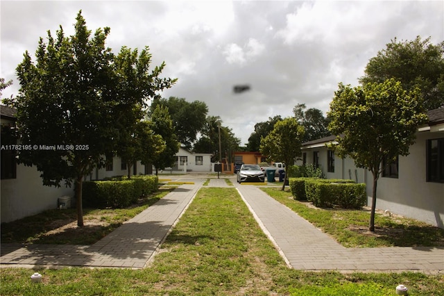 view of community with a yard