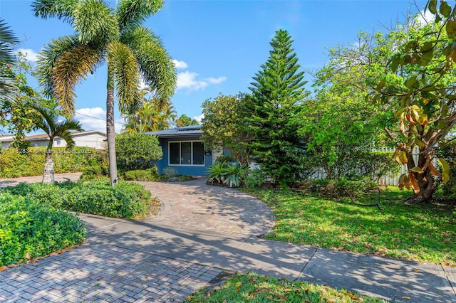 view of property hidden behind natural elements featuring curved driveway