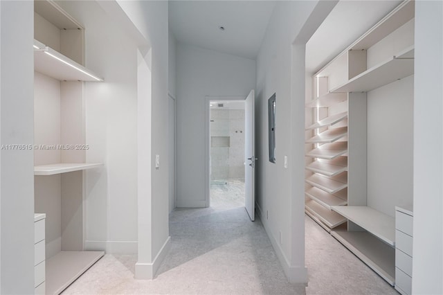 3321 NE 16th Pl, Fort Lauderdale, FL 33305 - walk in closet with light colored carpet and electric panel