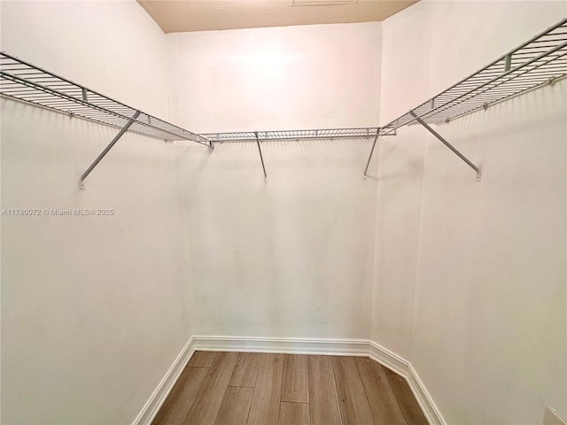 3001 NE 185th St Unit 336, Aventura, FL 33180 - walk in closet featuring wood finished floors