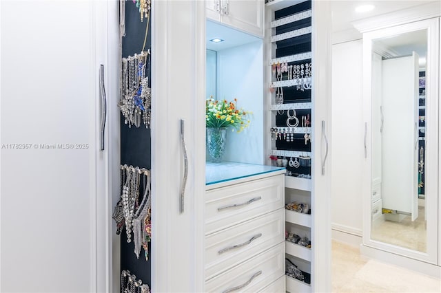 100 S Birch Rd Unit 1602C, Fort Lauderdale, FL 33316 - view of walk in closet