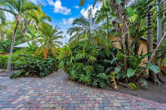 9 Bass Ave, Key Largo, FL 33037 - view of community