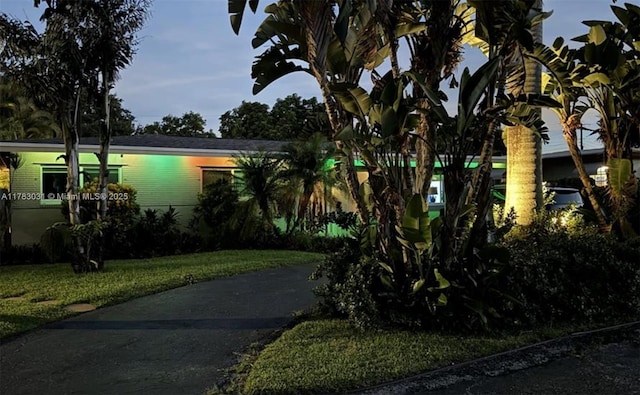 obstructed view of property featuring a front lawn