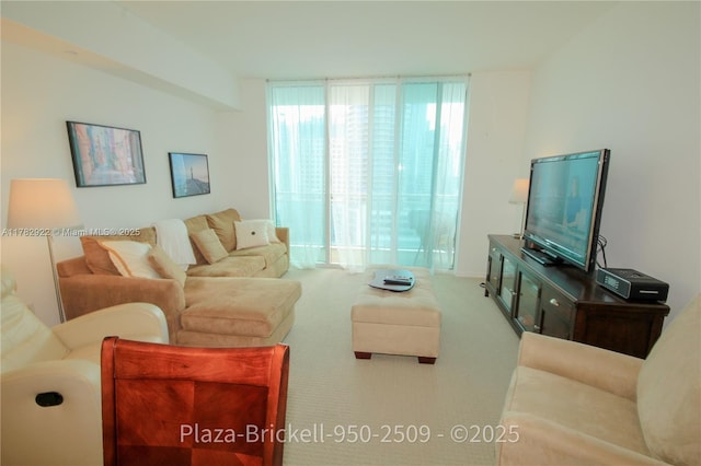 950 Brickell Bay Dr Unit 2509, Miami, FL 33131 - view of carpeted living room