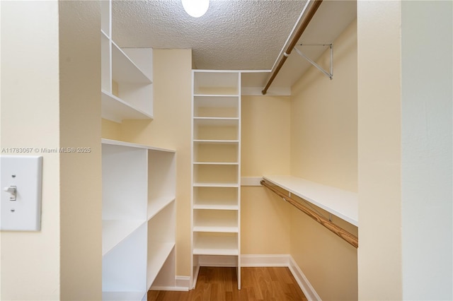 spacious closet featuring wood finished floors