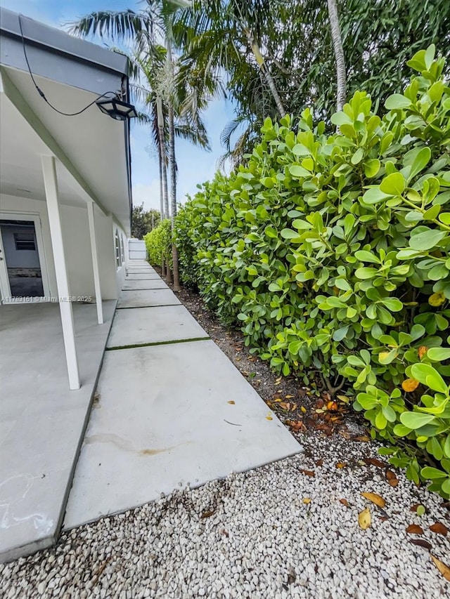 view of yard featuring a patio