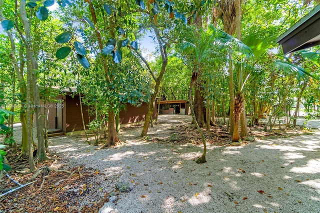 view of yard