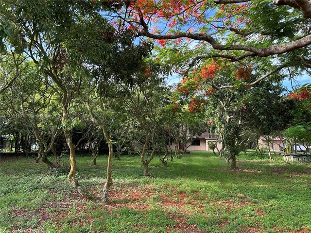 18950 SW 240th St, Homestead, FL 33031 - photo 4