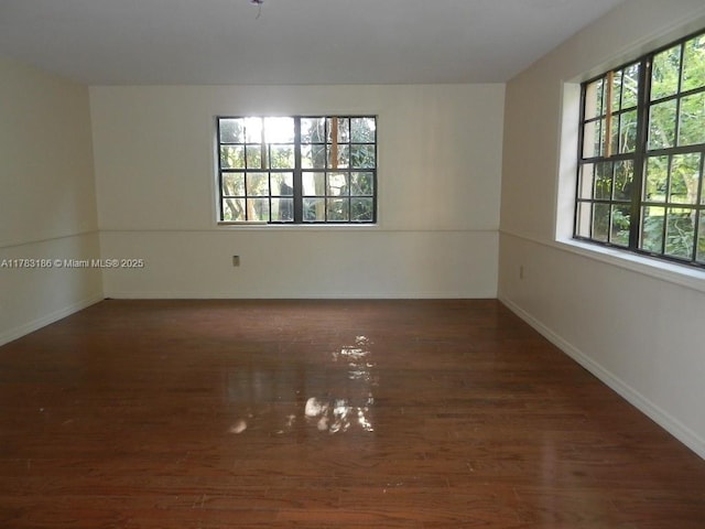 empty room featuring baseboards, a wealth of natural light, and wood finished floors
