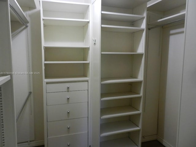 view of spacious closet