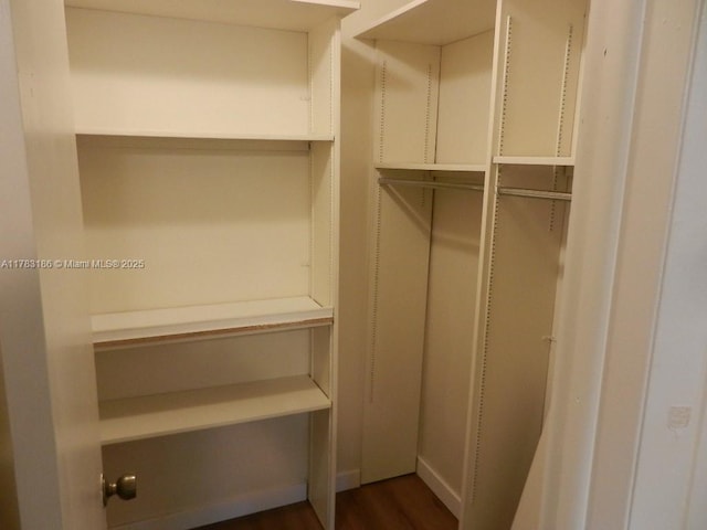 spacious closet featuring dark wood-style flooring