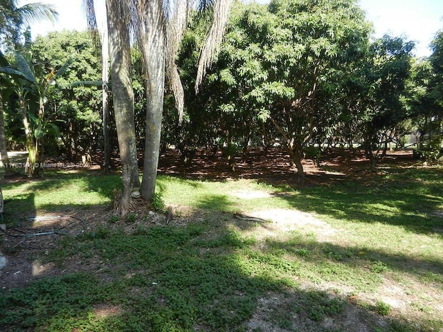 view of yard