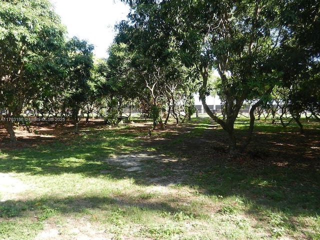 view of yard