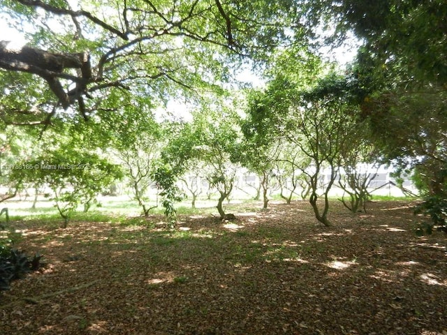 18950 SW 240th St, Homestead, FL 33031 - view of undeveloped land