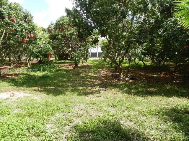 18950 SW 240th St, Homestead, FL 33031 - photo 74