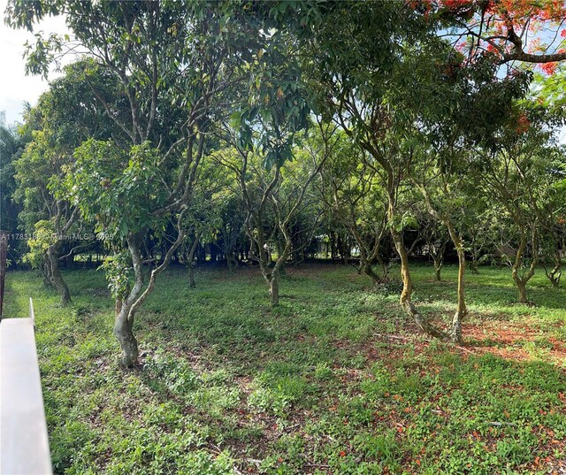 18950 SW 240th St, Homestead, FL 33031 - photo 77