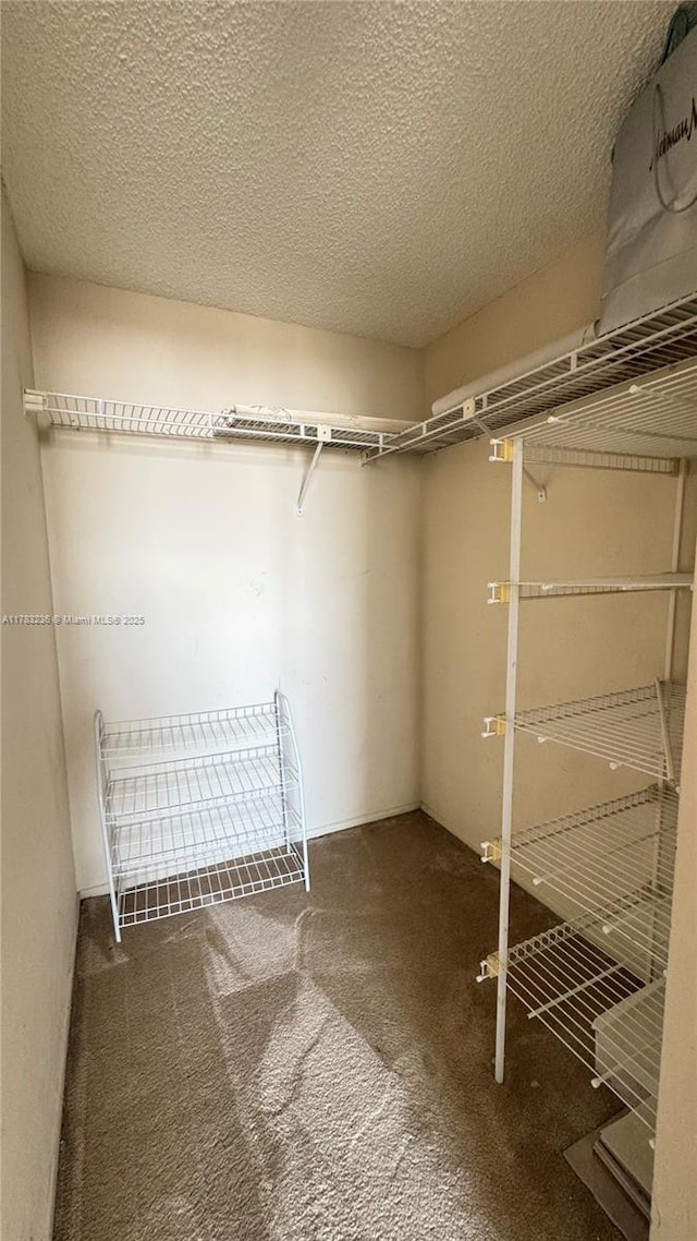 walk in closet with carpet