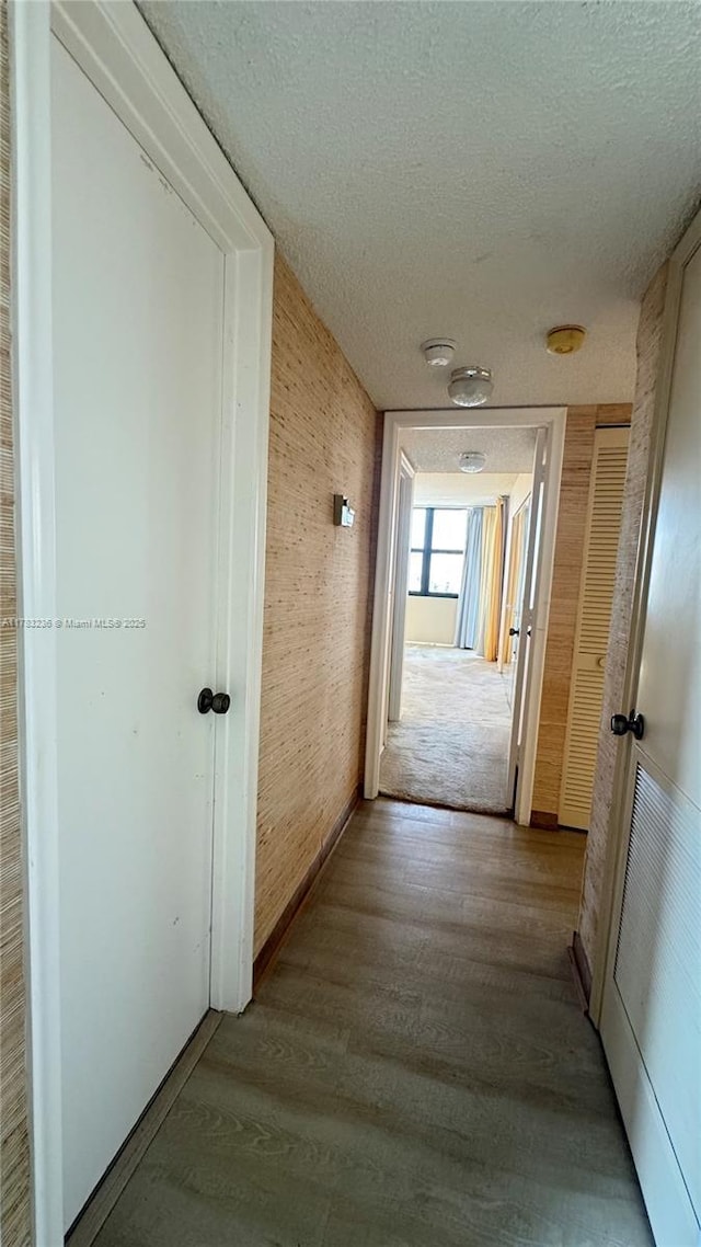 hallway featuring a textured ceiling and wood finished floors