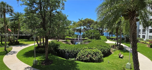 2801 NE 183rd St Unit 714W, Aventura, FL 33160 - surrounding community featuring a yard