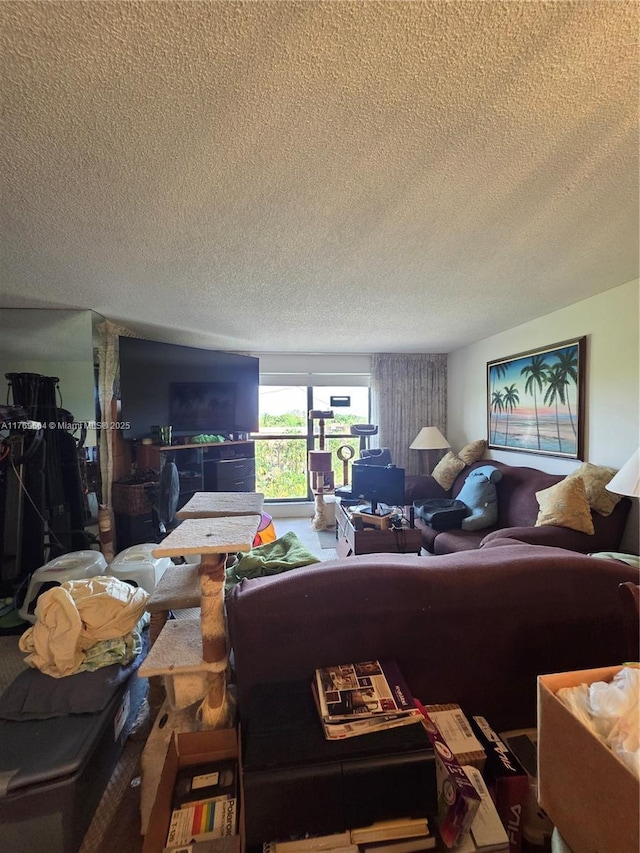 living area featuring a textured ceiling