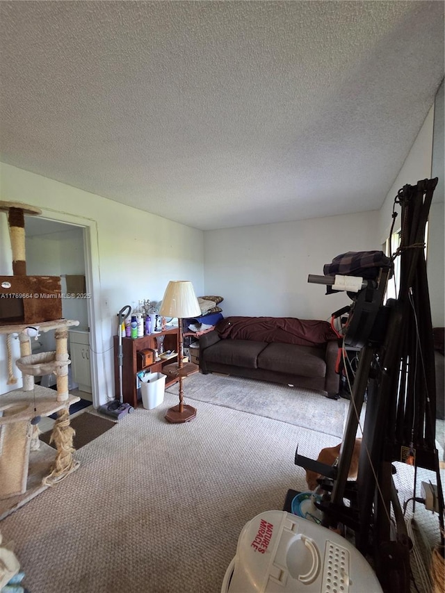 living room featuring carpet floors and a textured ceiling