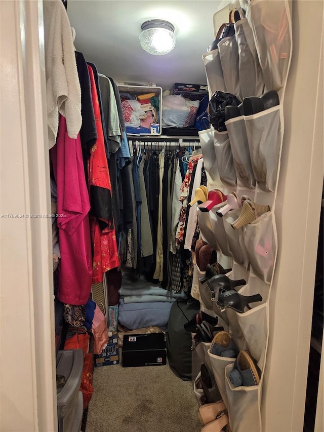 spacious closet with carpet flooring
