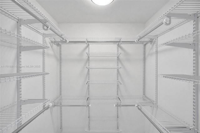 view of spacious closet