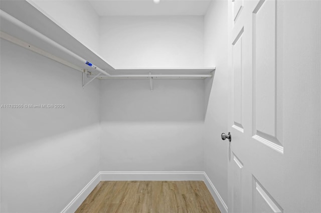 walk in closet featuring wood finished floors