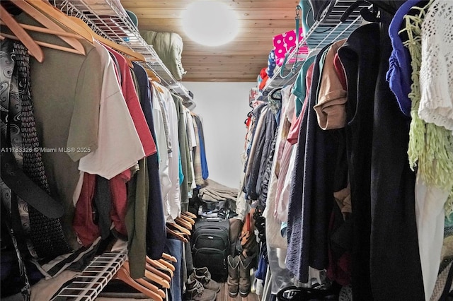 view of spacious closet