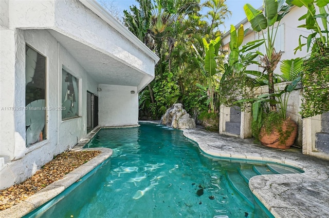 3200 Morris Ln, Miami, FL 33133 - view of outdoor pool
