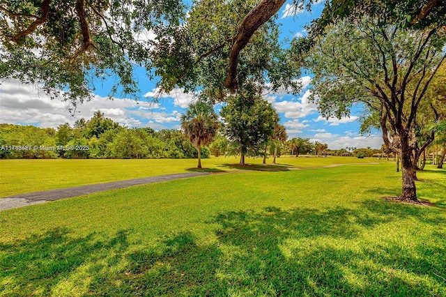 view of home's community with a lawn