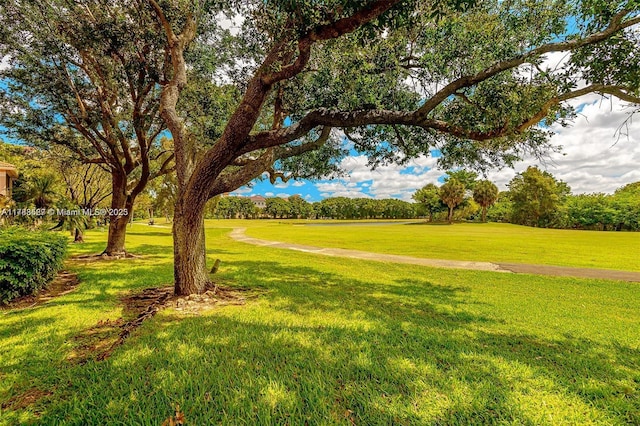 surrounding community with a lawn