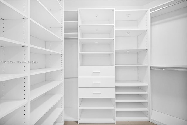 view of walk in closet