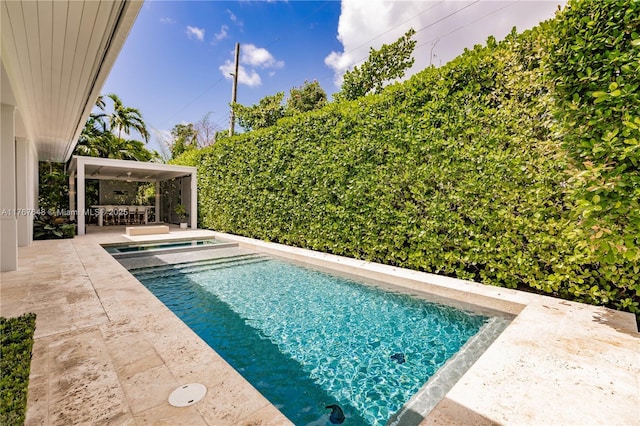 8200 SW 62nd Ave, Miami, FL 33143 - outdoor pool featuring a patio and an in ground hot tub