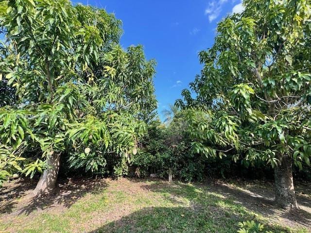 10124 SW 144th Ave, Miami, FL 33186 - photo 6