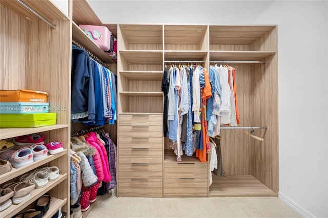 1705 Trailhead Ter, Hollywood, FL 33021 - spacious closet featuring carpet