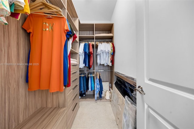 1705 Trailhead Ter, Hollywood, FL 33021 - walk in closet featuring carpet