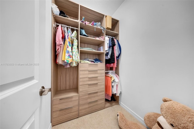 1705 Trailhead Ter, Hollywood, FL 33021 - spacious closet featuring carpet floors