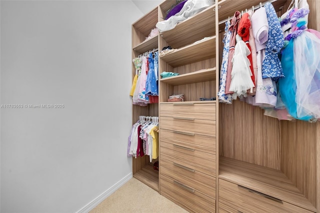 1705 Trailhead Ter, Hollywood, FL 33021 - walk in closet featuring light carpet