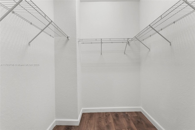 340 NE 208th Ter, Miami, FL 33179 - walk in closet featuring wood finished floors