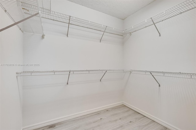 7751 Southampton Ter Unit 216, Tamarac, FL 33321 - walk in closet with light wood finished floors