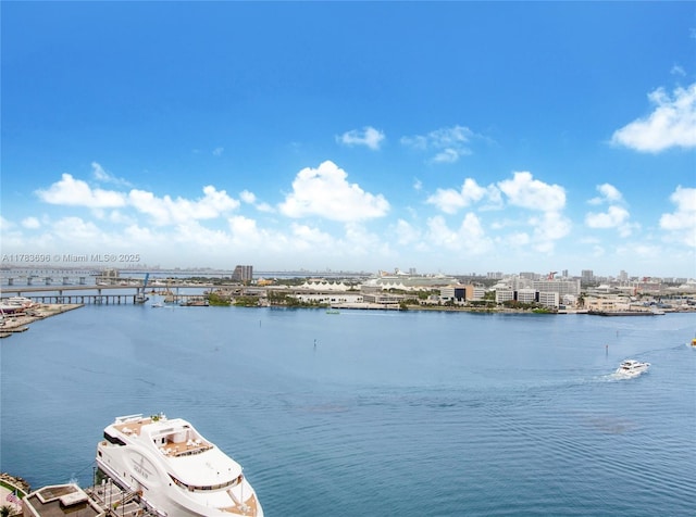 335 S Biscayne Blvd Unit 2604, Miami, FL 33131 - photo 12