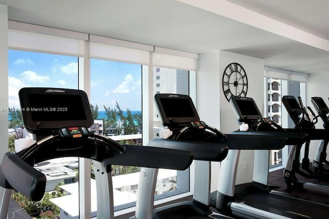 551 N Fort Lauderdale Beach Blvd Unit H1403, Fort Lauderdale, FL 33304 - view of workout area