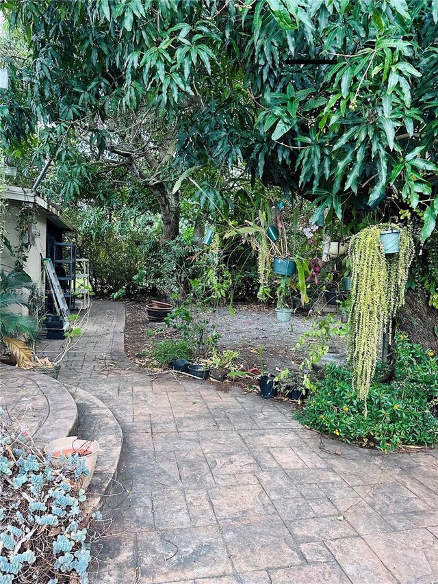 4371 SW 14th St, Miami, FL 33134 - view of patio