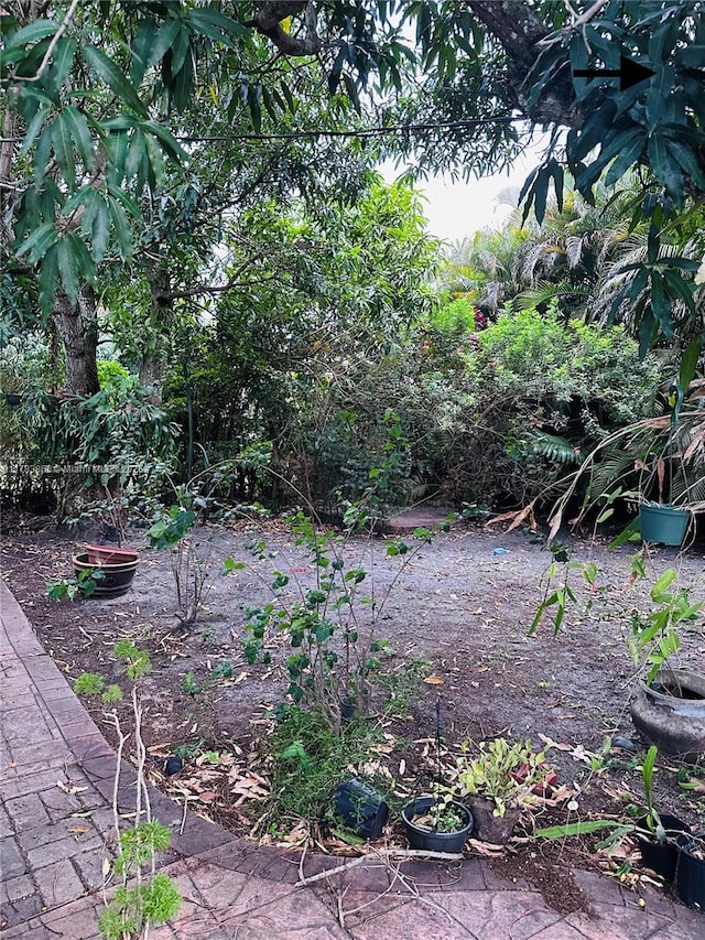 4371 SW 14th St, Miami, FL 33134 - view of yard
