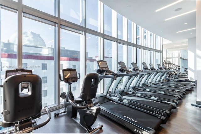 gym featuring floor to ceiling windows